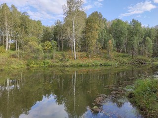 lake in the forest