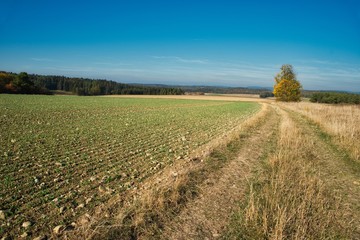 Landschaft in Oberfranken im Herbst