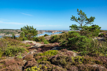 Fototapeta na wymiar Blick auf die Schäreninseln vor der Stadt Fjällbacka in Schweden