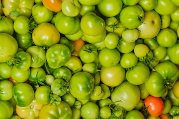 Tomatoes texture. Unripe green tomatoes