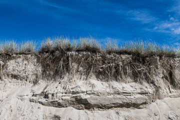 Fototapeta na wymiar Dune erosion due to coastal storm damage, Chatham, Cape Cod, Massachusetts, USA.