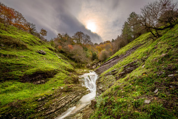 Montagna con alberi e ruscello, Piano Battaglia, Palermo, Sicilia