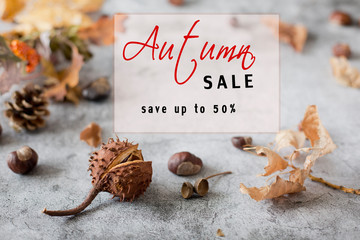 sale concept .Frame of chestnut and autumnal  leaves