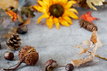 autumn decoration