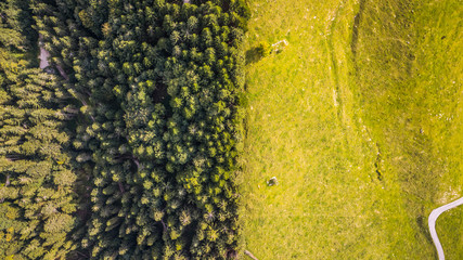 Malga Mezzomiglio, foto da drone
