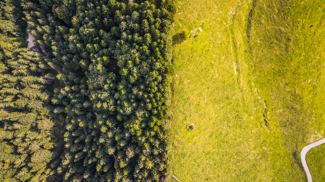 Malga Mezzomiglio, foto da drone