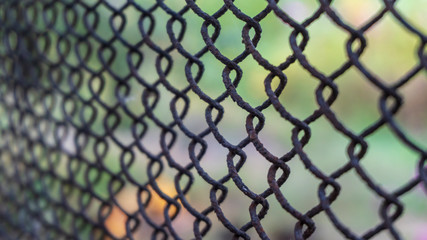 Naklejka premium a mesh texture close up