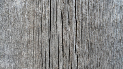a wood texture close up