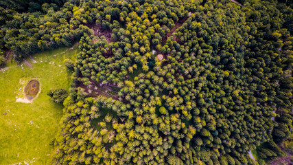 Malga Mezzomiglio, foto da drone