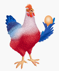 poule pondeuse, drapeau française, , oiseau, poule, coq, ferme, isolé, volaille, animal, blanc, agriculture, empennage, oiseau, bec,  domestique, brun, poussin, coquelet, agriculture, oeuf, animal, st