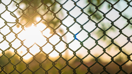 Fototapeta premium a mesh texture close up