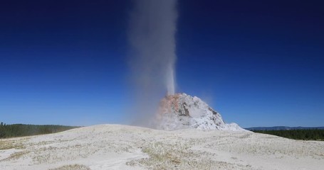 Yellowstone National Park geyser basin steam. Geothermal ecosystem environment. Largest super volcano on the continent. Biology geography and ecology. Millions of tourist.
