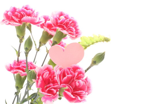Pink carnation and heart shaped card for Mother's Day image