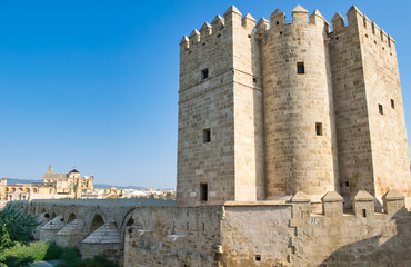 Fototapeta na wymiar Torre y puerta de Calahorra , puente romano