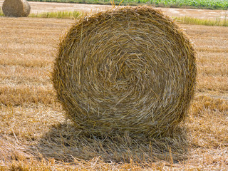 bales of hay