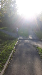 Obraz premium road in the forest