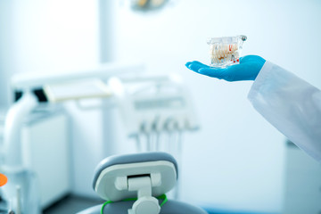 Hand of dentist with jaw model in room