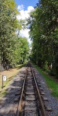 railway in forest