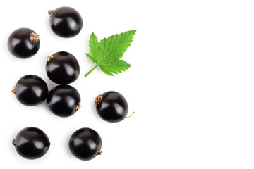 black currant with leaf isolated on white background. Top view. Flat lay pattern. With space for your text