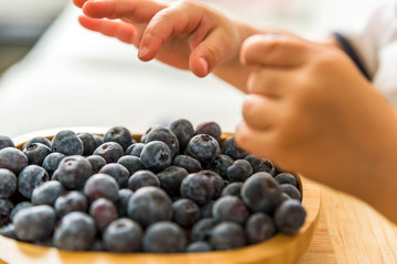 baby boy hands touch and take raw fresh blueberries indoor. baby exploring fruit