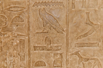 Ancient egyptian hieroglyphs carved on the stone wall