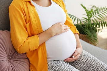 Cropped shot of young beautiful woman on third trimester of pregnancy. Close up of pregnant female...