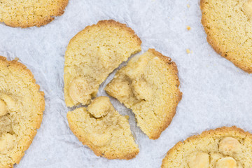 Macadamia Cookies (fresh) as detailed close-up shot, selective focus)
