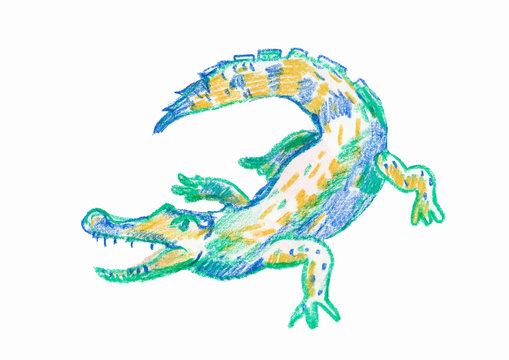 The crocodile drawn with the wax crayons