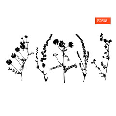 Set silhouettes of wild flowers vector