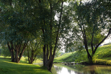 river in the Park
