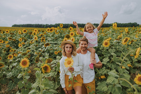 Beautiful family enjoying time together in the sunflower field in summer