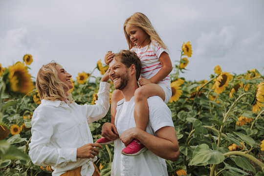 Young family spending time together in sunflower field in summer