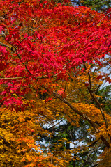 Scenery of around Nanzenji-temple in Kyoto,Japan.