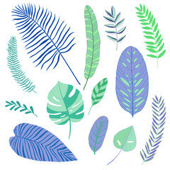 set of abstract tropical leaves, flat design