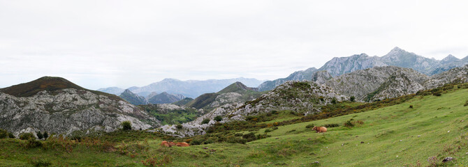 Fototapeta na wymiar Lagos de Covadonga en Asturias, España.