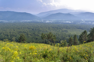 landscape in Altai mountains