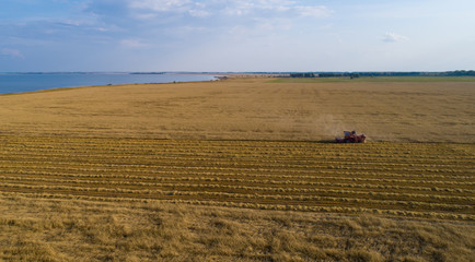 Obraz premium Agriculture in the TRANS-Ural region of Russia, harvesting