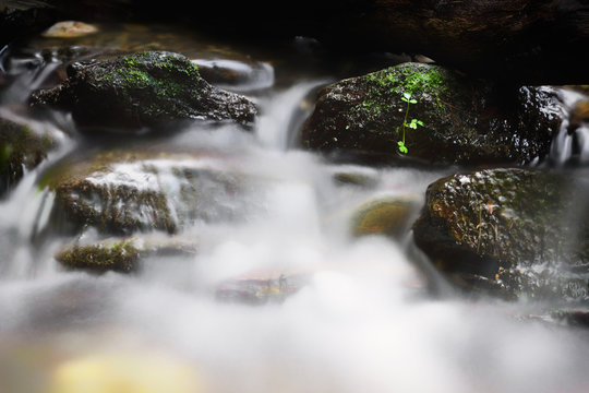 Cascata da Fraga da Pena, Fraga da Pena waterfall, stream in the forest, Colour Photo, Fraga da Pena, Pardieiros, Benfeita, Arganil, Coimbra, Portugal