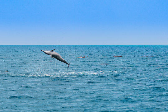 Maldive mare caraibi