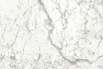 white marble background texture