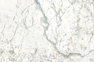 white marble background texture