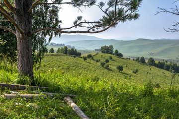 landscape in Altai mountains