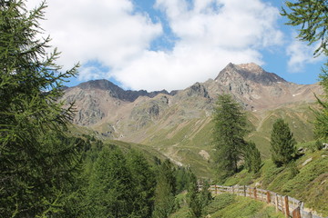 Die Ötztaler Alpen 