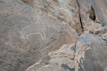 Ancient cave paintings / rock art in Ha'il Province in Saudi Arabia (world heritage site)