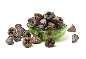 Dried fruits of eucaliptus globulus labill on white background