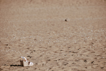 Women shoes on the sand 