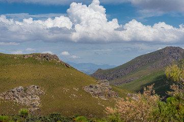 Fototapeta na wymiar Summer mountain nature landscape with green fynbos and blue sky