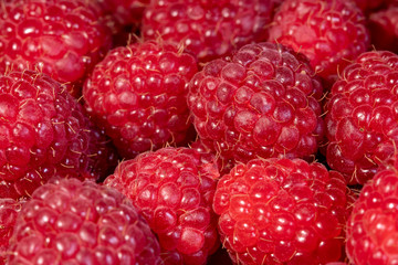Ripe and fresh raspberries, sweet red raspberries, berries food
