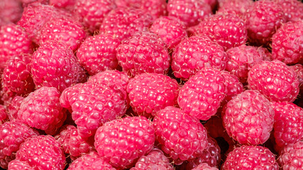 Ripe and fresh raspberries, sweet red raspberries, berries food