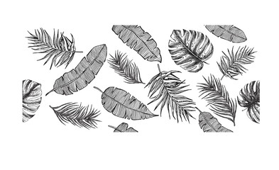 Tropical leaves hand drawn illustration